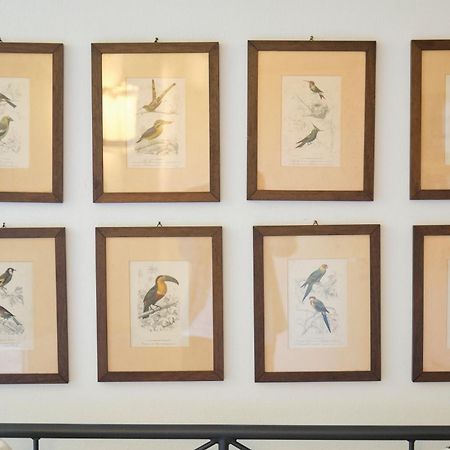 Il Nespolo Di Campopisano Appartement Genua Buitenkant foto