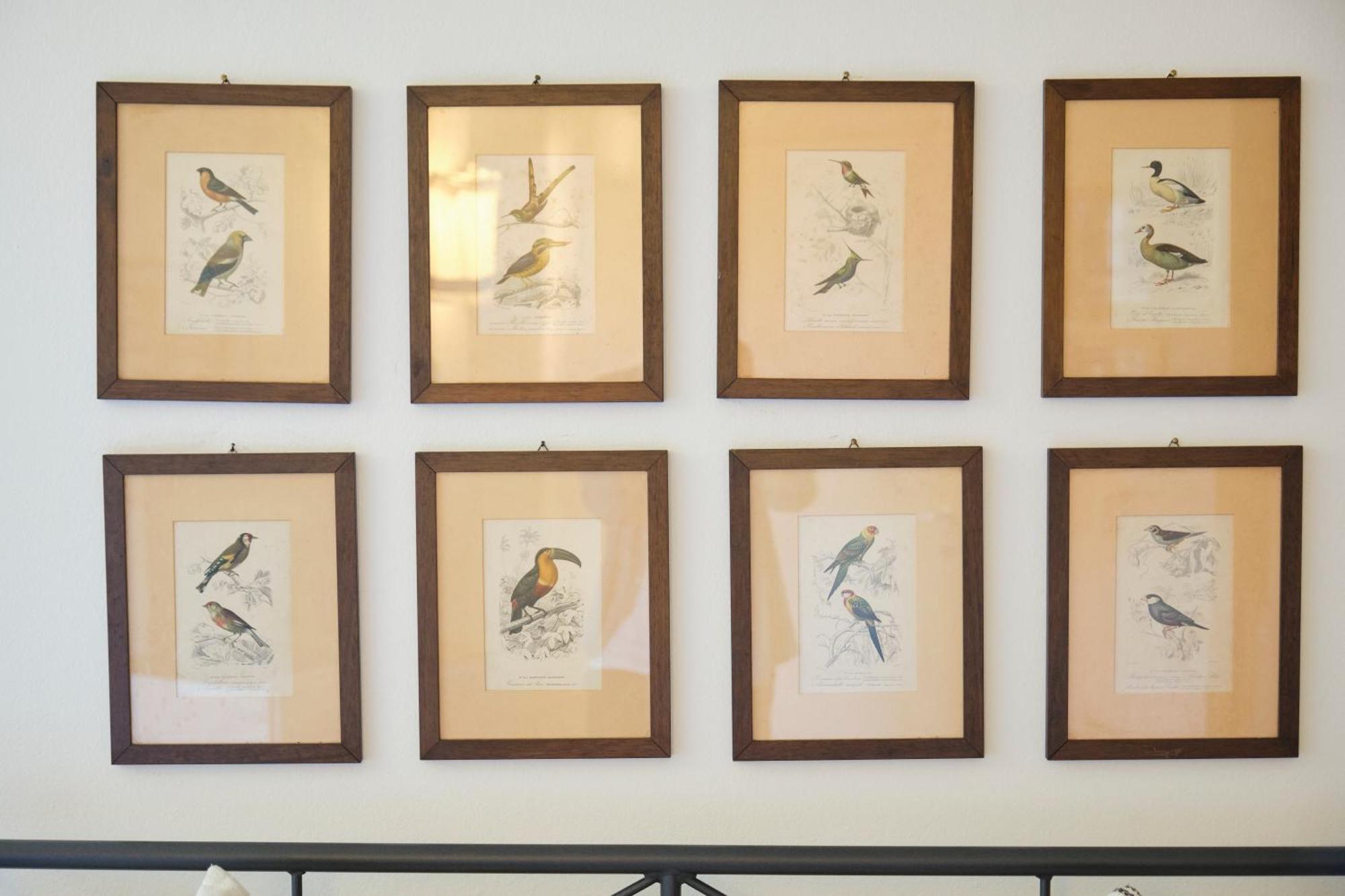 Il Nespolo Di Campopisano Appartement Genua Buitenkant foto
